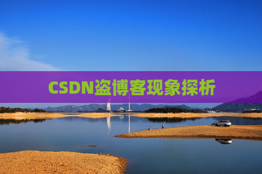 CSDN盗博客现象探析 CSDN盗博客现象探析